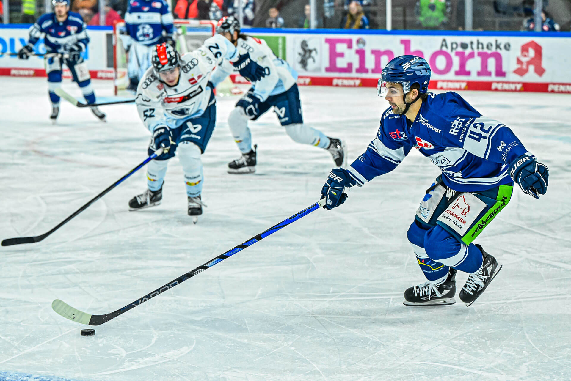 Straubing Tigers im Spiel